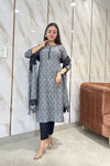 Gauri Grey Ikkat Kurta Suit Set